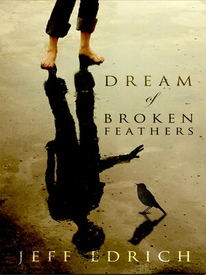 cover image of Dream of Broken Feathers